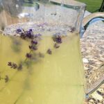 Lavender Lemonade